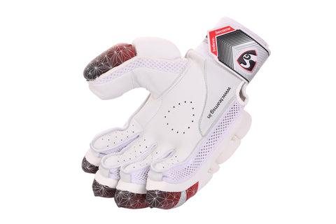 Test Cricket Batting Gloves - SG