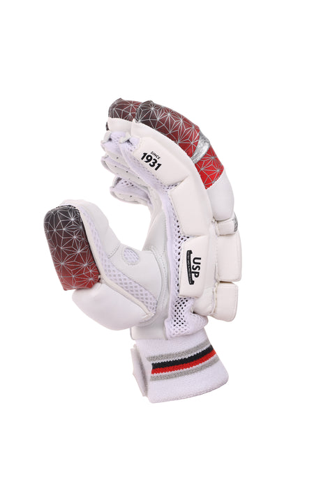 Test Cricket Batting Gloves - SG