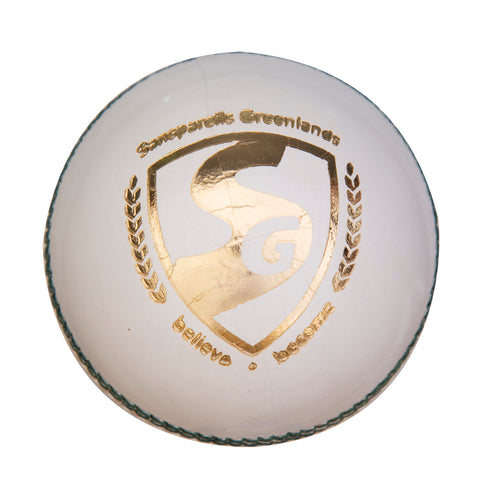 Tournament Leather Ball - SG